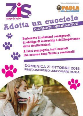 44366871 10213543493242051 1973119301611159552 n