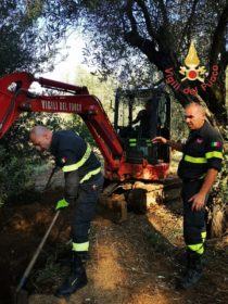 9e1e89f3 709c 4eec 8f80 4d07027a1950