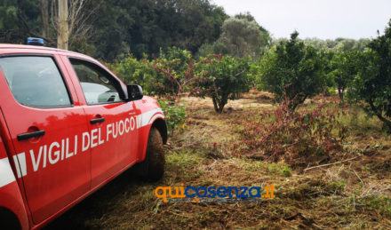 Luogo ritrovamento Nicolo 01