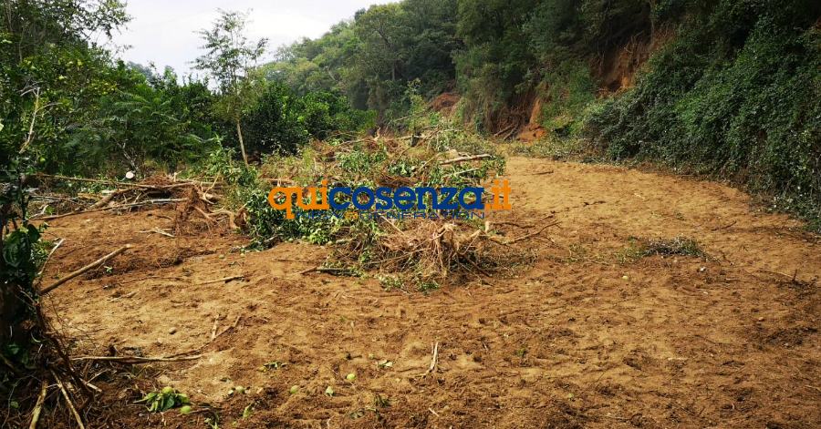 Luogo ritrovamento Nicolo 03