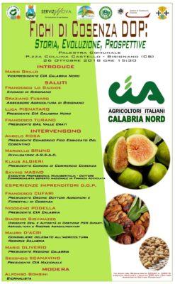 Manifesto Fichi di Cosenza DOP