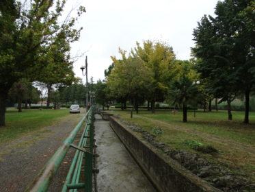 foto parco 2