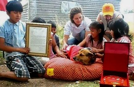 storia China salva bambina