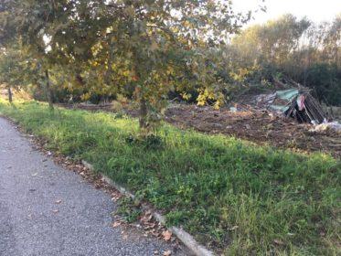 La baracca sul Torrente Surdo, sarà abitata? 60 0 3