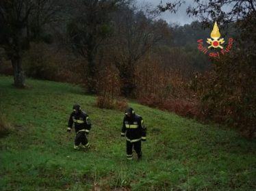 2cc59e7d 1560 4974 bc38 b0e6c450fc52