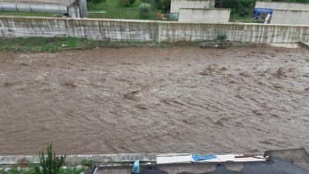 3aba5324 d156 4c46 bcbe 37894e7f2e81