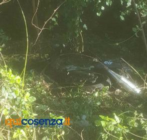 45df7e12 d237 4c6c 975d 4c0cdca7f664