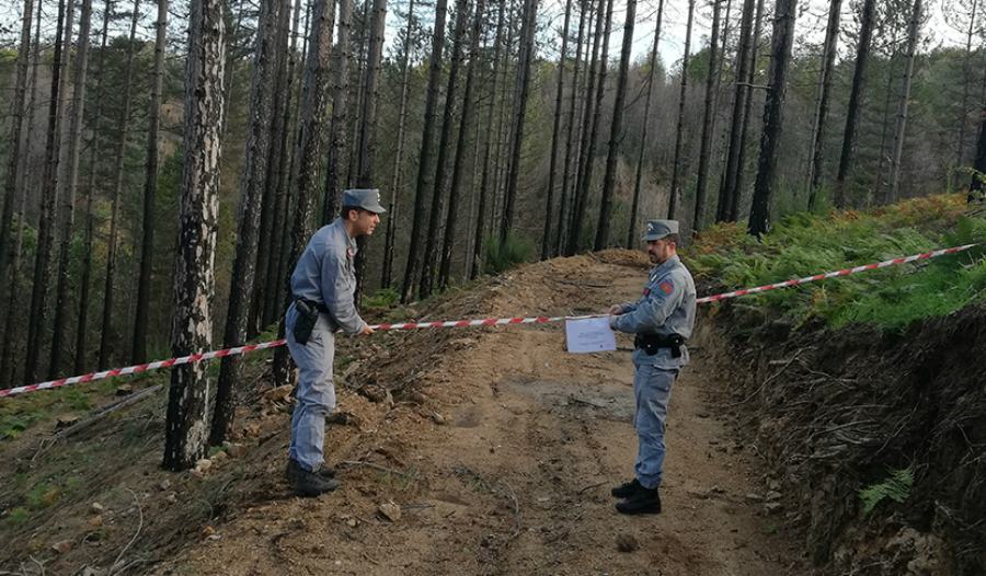 acri carabinieri forestali 01