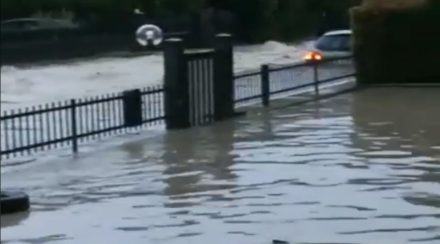 b3b3555b 8f0d 4570 ab15 ff486f012ef1