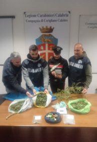 Scoperta fattoria dedita alla produzione di marijuana, insospettabile famiglia in manette 54 corigliano