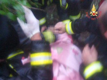 d04f2eee 557a 472d a57d a13a358df309