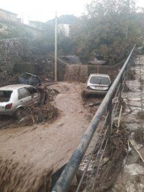 fbffecdf 50c7 4fd3 b81a d8f06e52c017