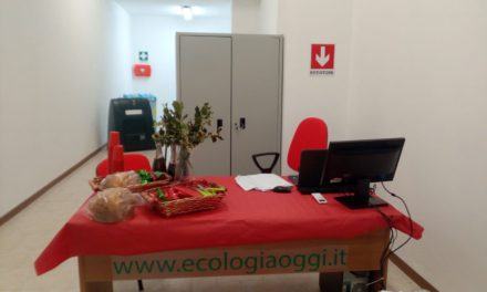 WhatsApp Image 2018 12 13 at 15.02.30