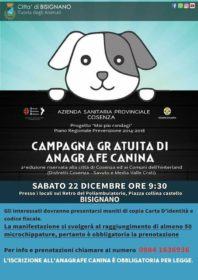 anagrfae canini