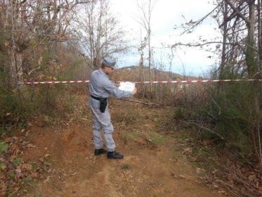 Acri, furto di legna in un bosco privato: due arresti 57 area sequestrata