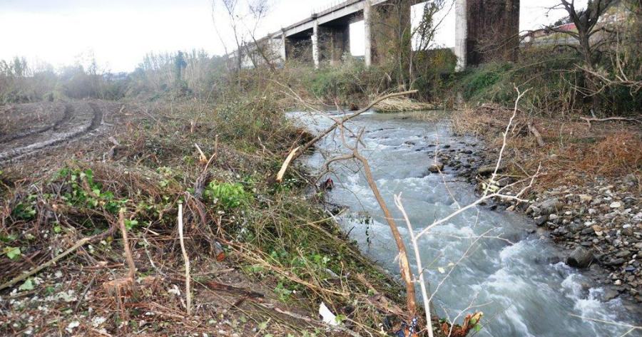 Pulizia 'arbitraria' del torrente Settimo, piante rubate e rifiuti: denunce tra Rende e Montalto 58 foto 6 Settimo
