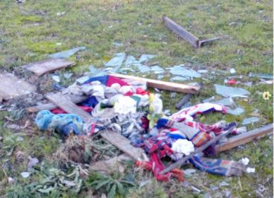 WhatsApp Image 2019 01 11 at 09