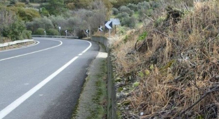 Sospetto uso di diserbante chimico cancerogeno sulla rete Anas 56 diserbante strade