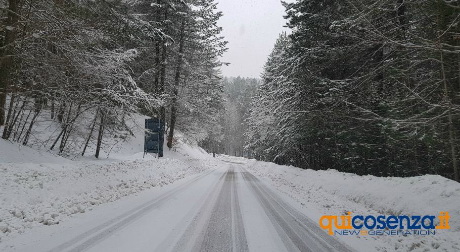 neve 107 Silana Crotonese Moccone