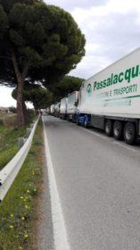FOTONOTIZIA - Tir incidentato paralizza la statale 106 54 oriolo106