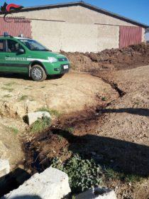 sequestro luzzi