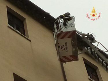 294c6519 1350 4a12 a1a4 03db71e13b48