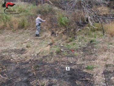 Regione Carabinieri Calabria incendio fiumefreddo 2