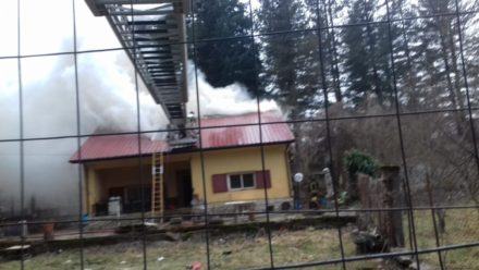 ced9bb5d a38f 4200 abdc 39ee54ed4586