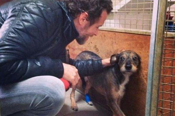 jovanotti cane canile natale