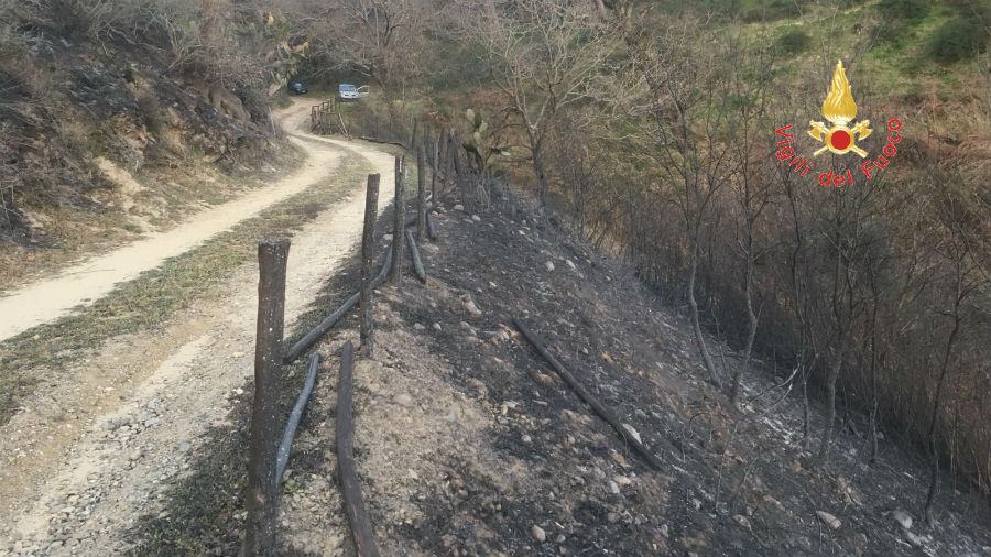 79134789 c14f 4b02 b4b2 c17ed3dd9dda