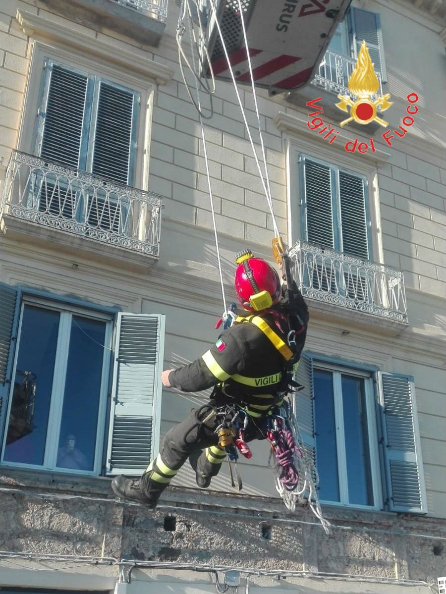 9c05f20e 622c 4a4d 8567 d43d5770f8da