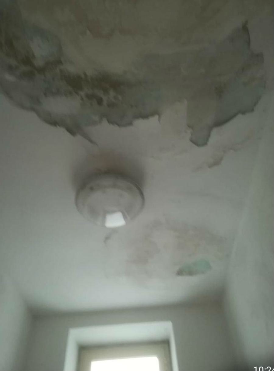 SmartSelect 20190309 015559 WhatsApp