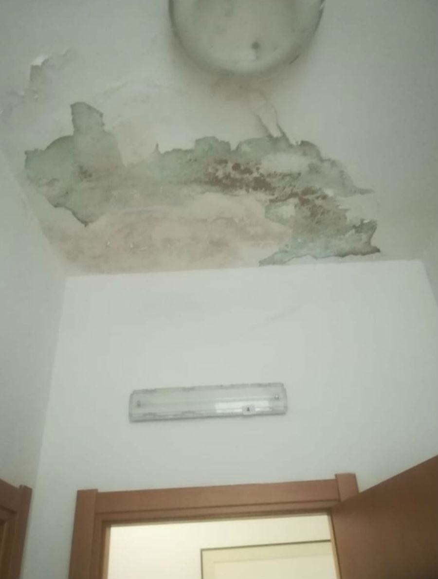 SmartSelect 20190309 015652 WhatsApp