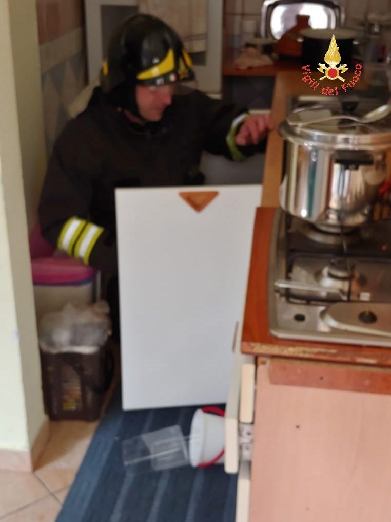 a4b6ff1d faca 4c3d a7ba b315fd4435f1