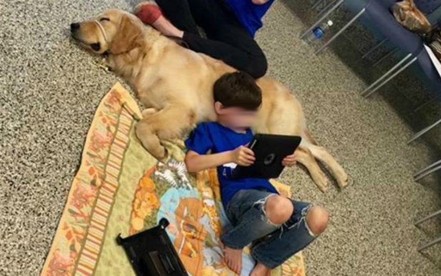 bimbo autistico cane