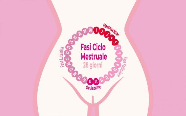 fasi ciclo mestruale la nostra ciclica armonia cos e e come funziona 1080x675