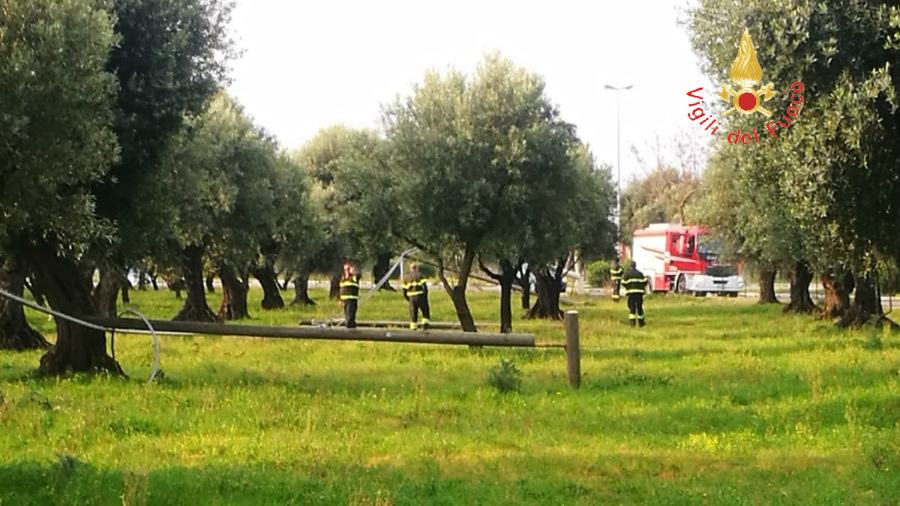 pali telecom lamezia vigili fuoco 02