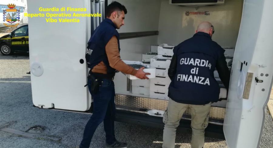 sequestro novellame di sarda bianchetto