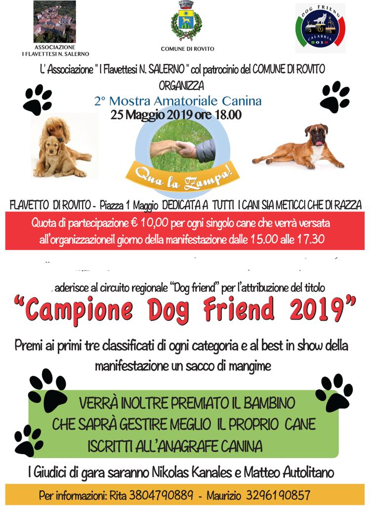 A Flavetto di Rovito la II edizione della mostra canina 'Qua la Zampa' 57 IMG 20190522 WA0066