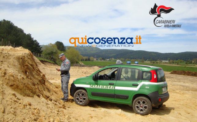 San Giovanni in Fiore forestale2