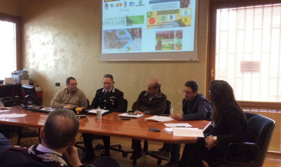 Wolfnet Sila Lupo 01