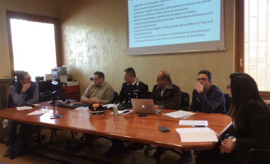 Wolfnet Sila Lupo 02