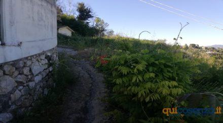 Carolei: strada franata nella frazione Vadue e disagi per i residenti - FOTO 102 frana101