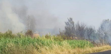 0831ed90 5ea4 4f9b 86cc ee4326e37d48