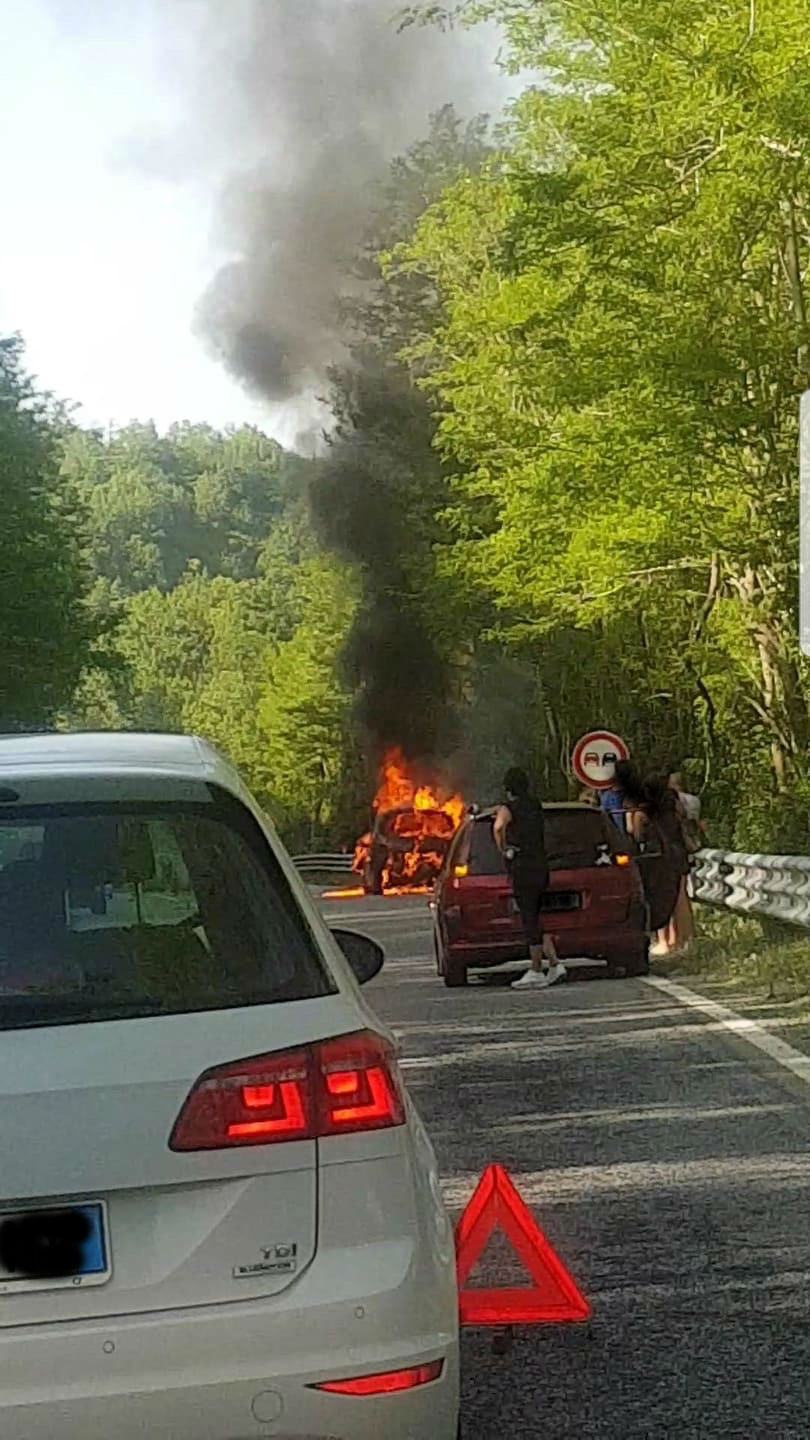 1170e953 ff6a 428c a9a0 34d44c6a8ba7