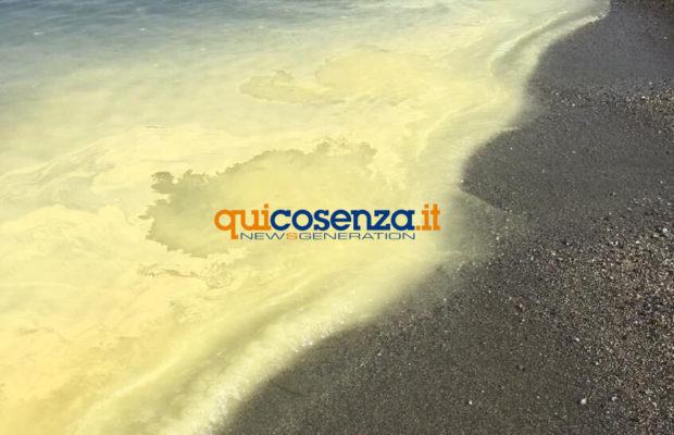 Arpacal colore giallo jonio