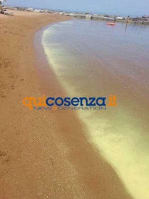 Arpacal colore giallo jonio2