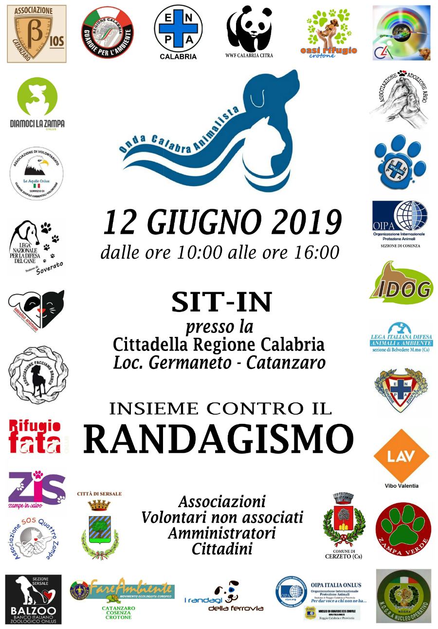 MANIFESTO ONDA CALABRA Sit In 12