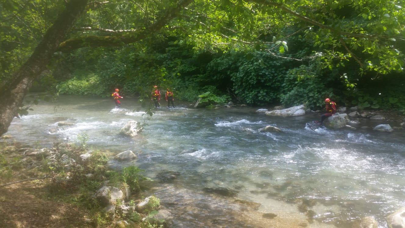 d8e3fd6f 913b 4798 a537 214c4be3a1f5