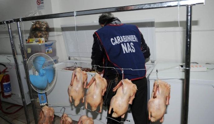 NAS: blitz nei ristoranti etnici, la metà è irregolare. Nel mirino anche gli "all you can eat" 56 nas ristoranti2